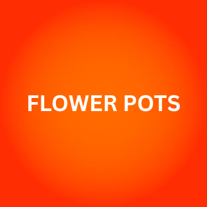 FLOWER POTS